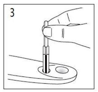 EierCHECK dodajanje vzorca krvi na testno ploščico.