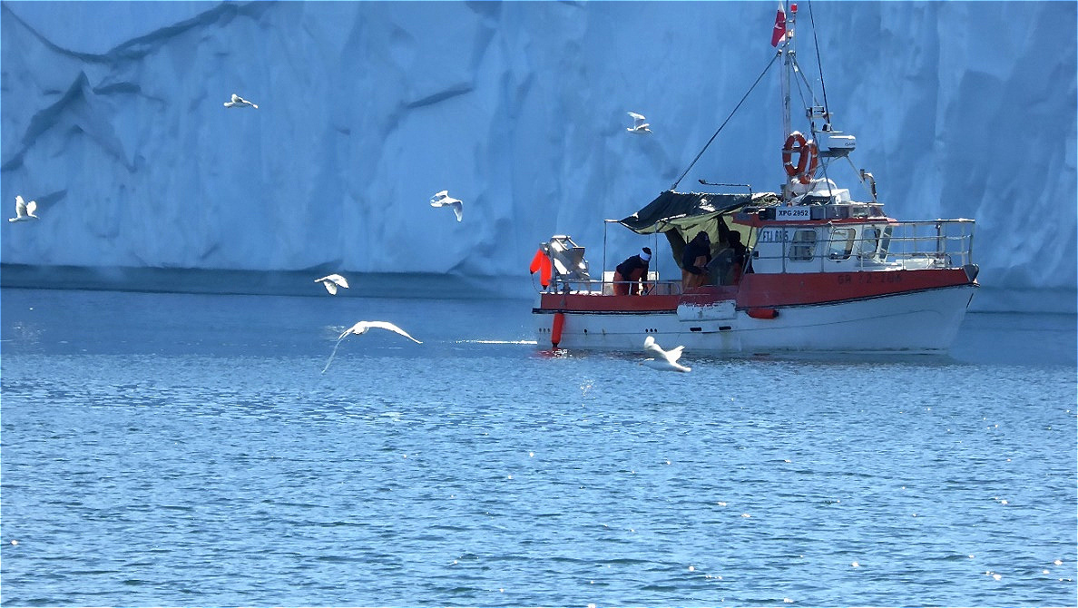 Fischer bei der Arbeit !
