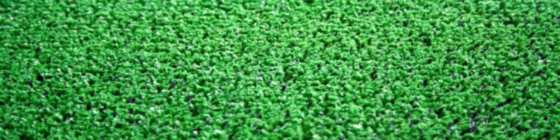 Umetna trava Green Casa