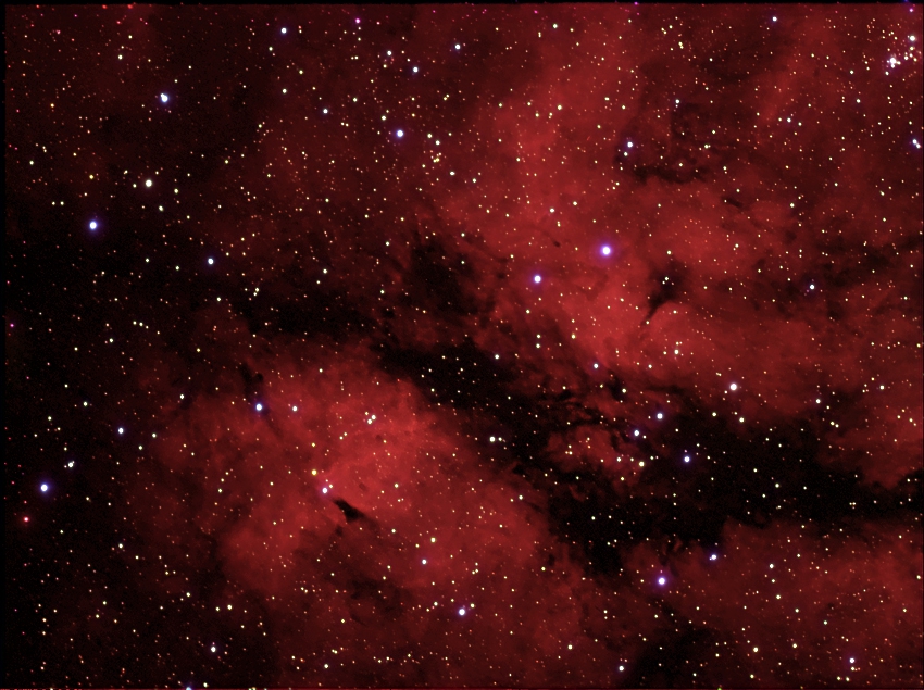 IC1318, Cygnus
14.09.2004