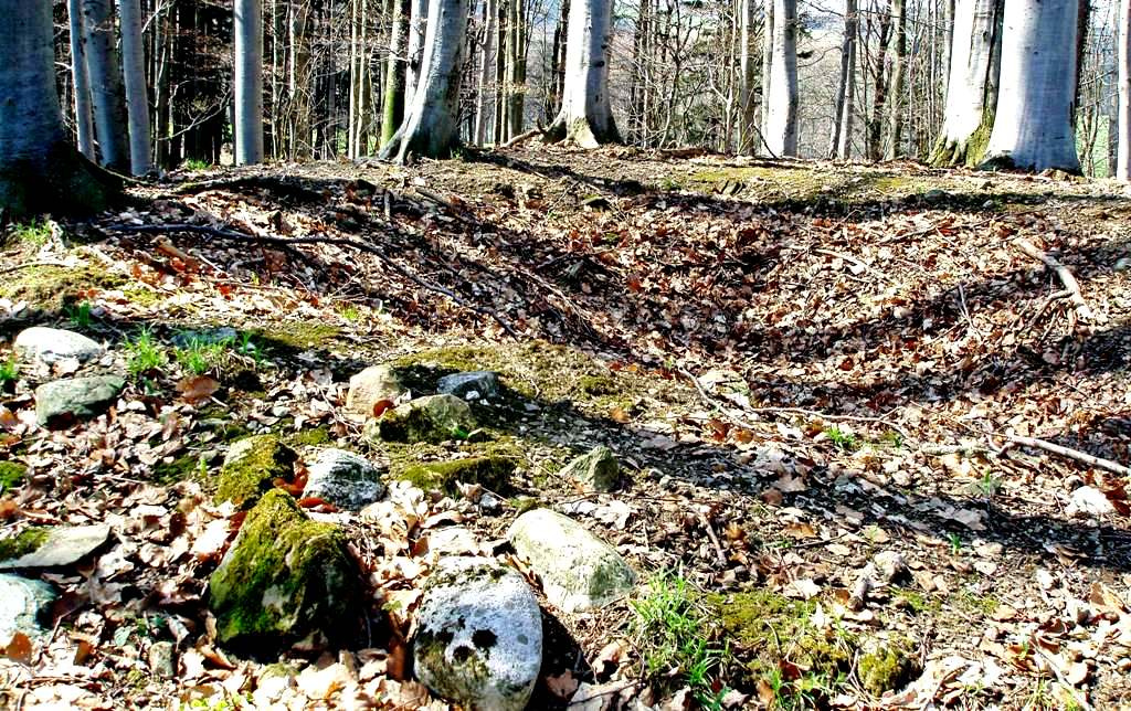 Keltengrab, das 1899 geöffnet wurde
Hügel I: Durchmesser 12 m, Höhe 1,5 m. Gefunden hat man ein großes Kegelhalsgefäß, das wahrscheinlich als Urne Verwendung fand, und in der Mitte eine "Römische Nachbestattung".