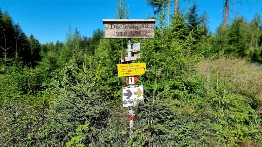 Kobernaußerwald  - Dachsenpass 719 m