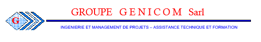 GROUPE GENICOM  SARL
