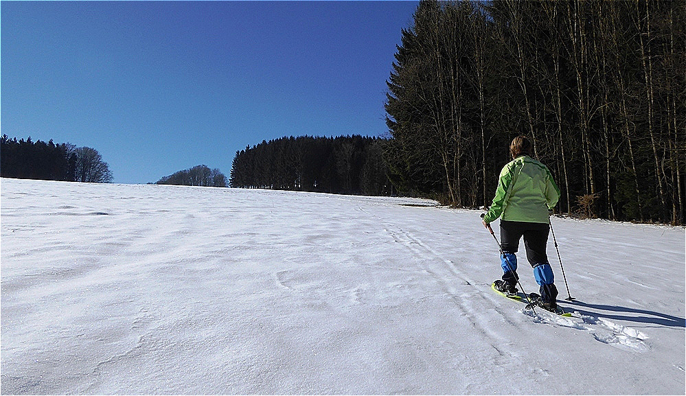Hinauf auf den Tannberg