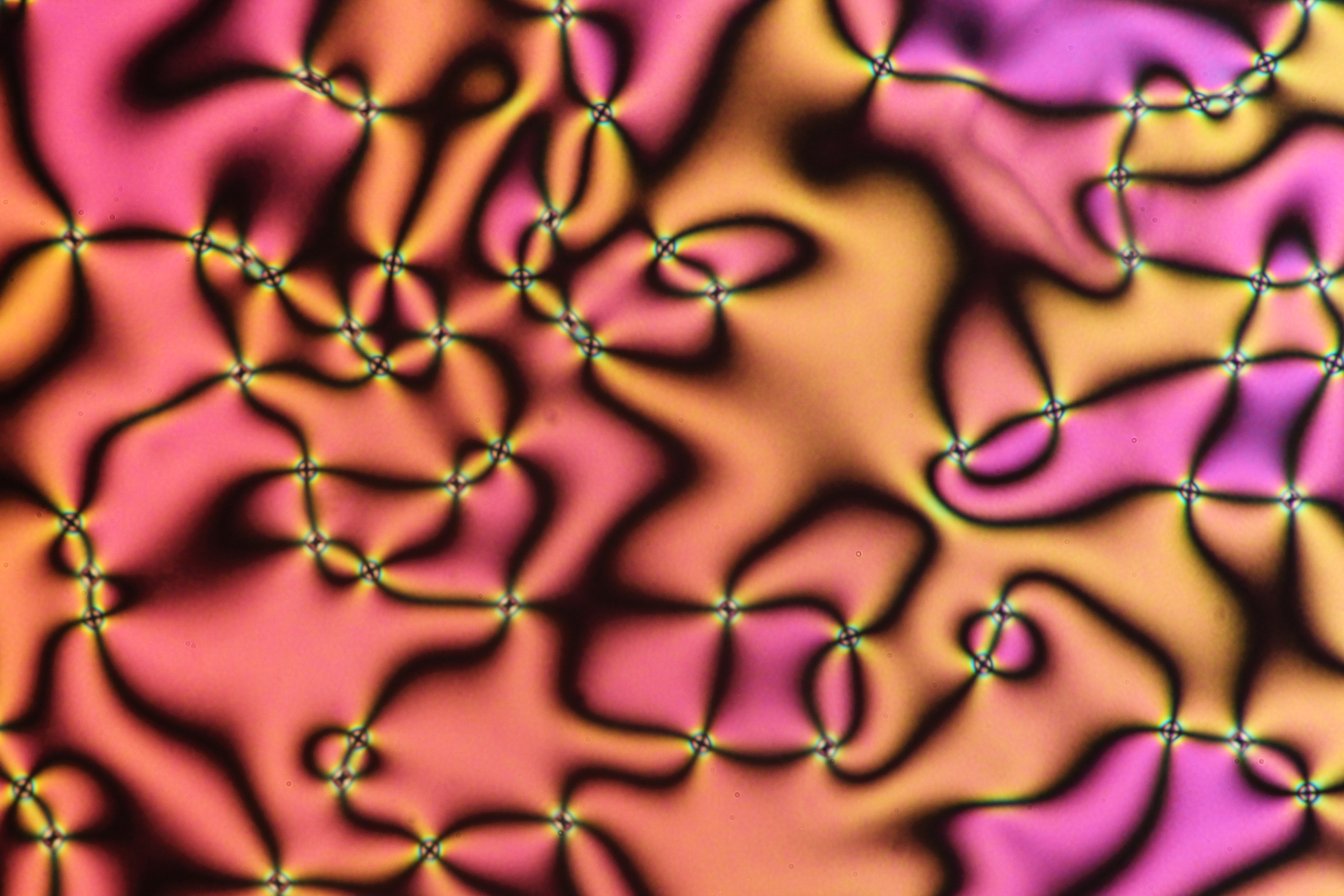Umbilic defects in nematic LC3