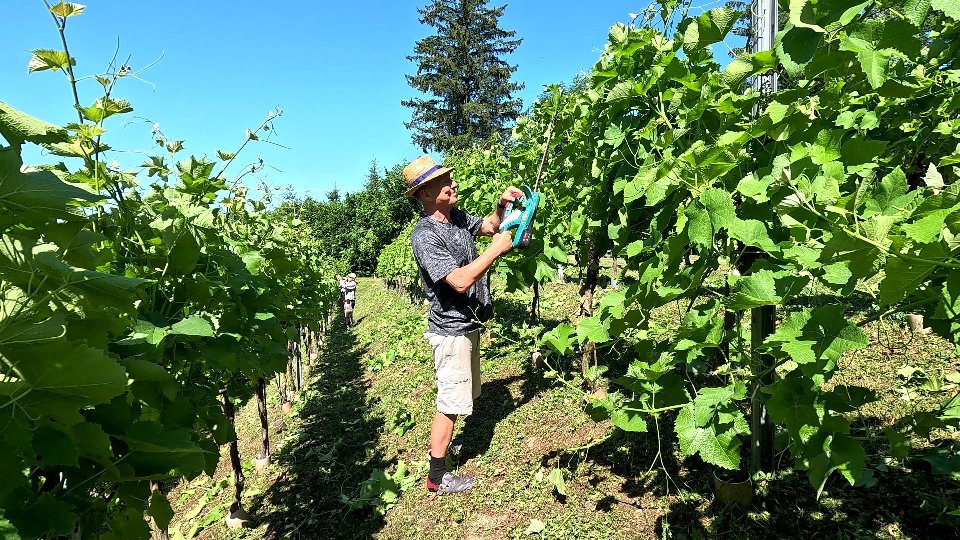 Fassionieren - formgeben