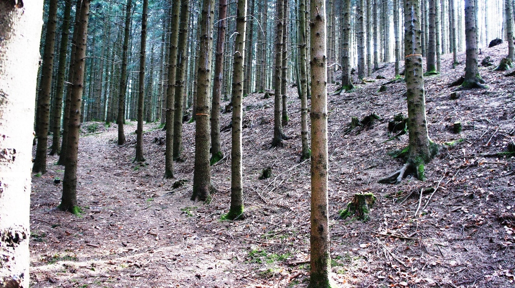 Aufstieg von der Nordseite