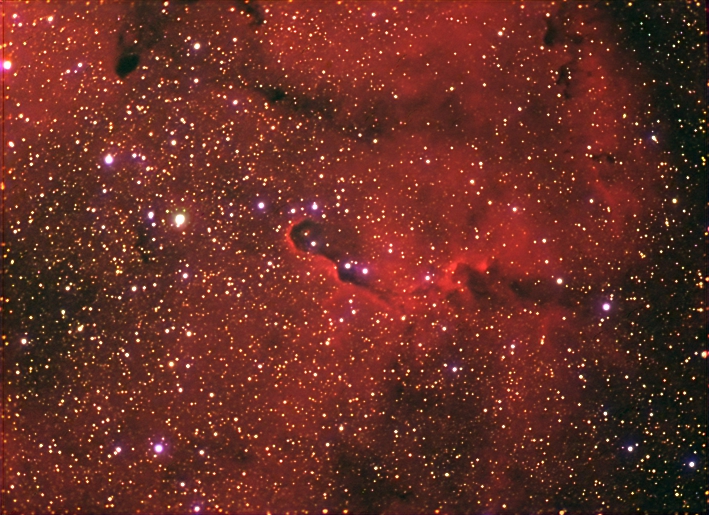 IC1396, Elefant's Trunk Nebula, Cepheus
09.2005 older SXV-H9 image
