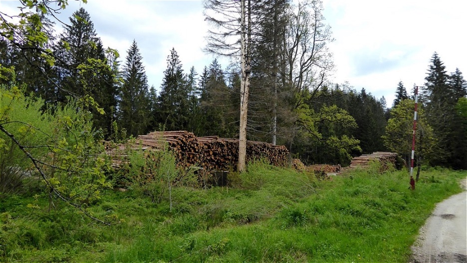 Hocheck - Wanderung auf den Kalteis - 24. Mai 2019