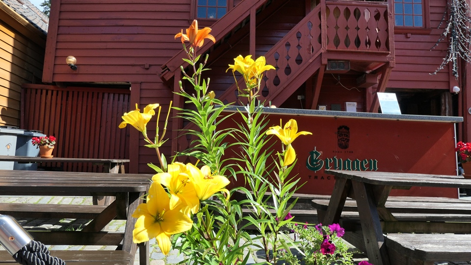 Spaziergang zwischen den ehemaligen Handelskontoren der Hanse