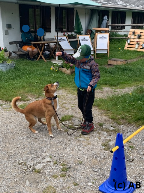 Bestätigung zwischendurch