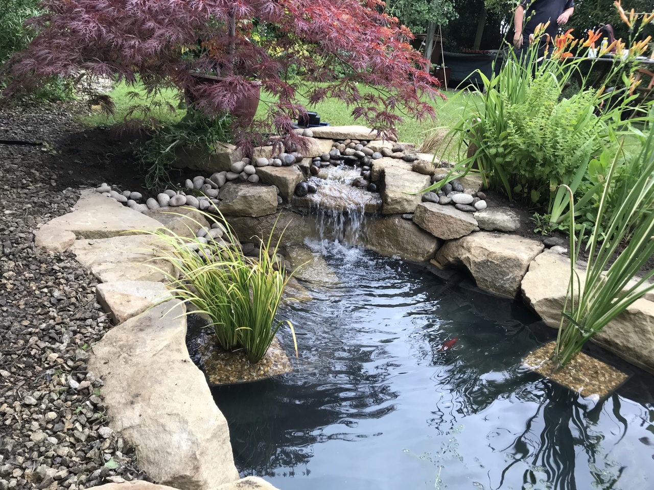 Country Garden Build 2019