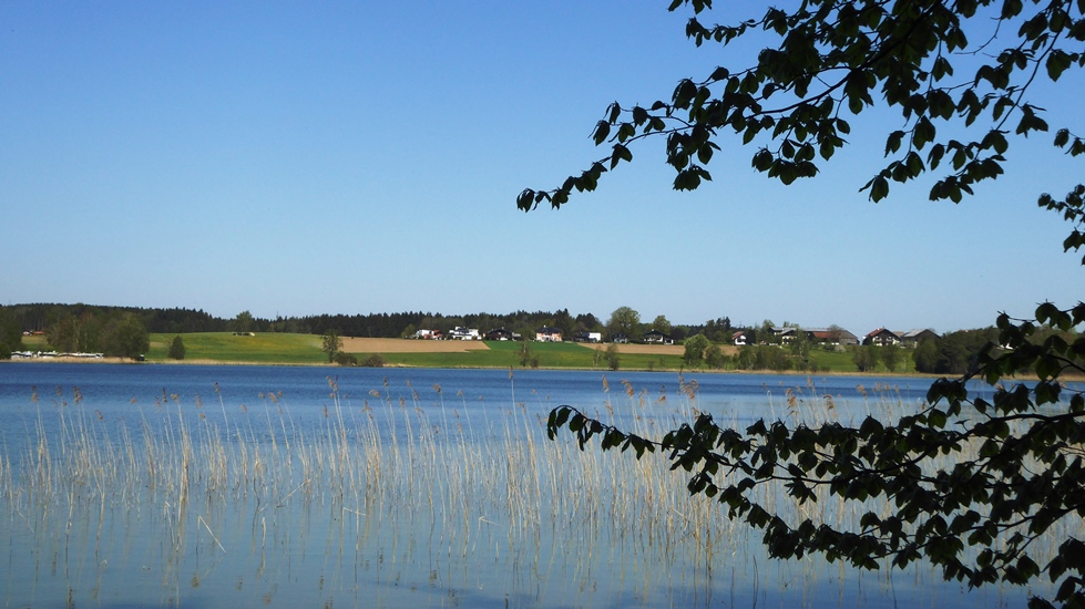 Blick über den See auf das oberösterreichische Ufer