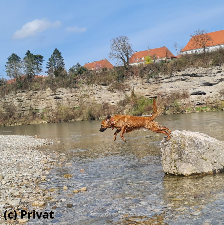 ...und Retter in Ausbildung "Atreju"