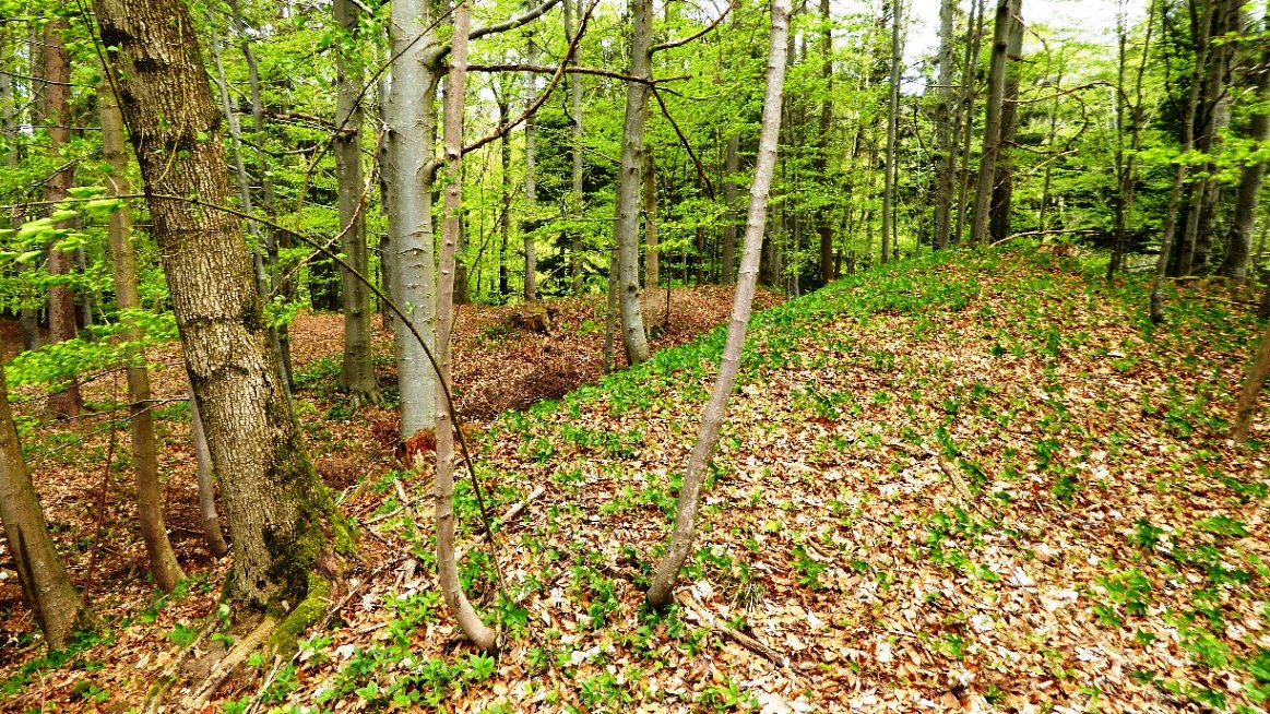 Im Osten verlaufen Wälle und Graben...