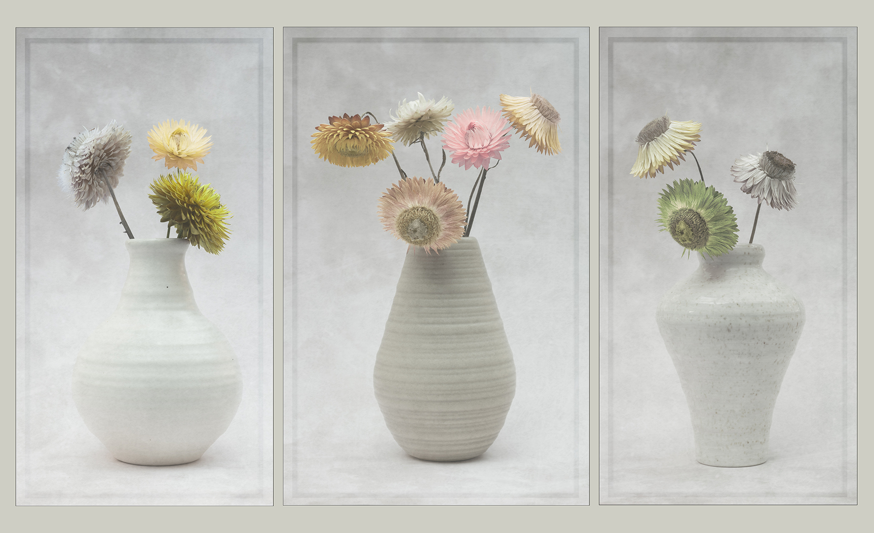 Highly Commended: Dried Flowers (Michael Bull)