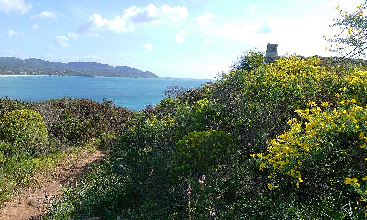 Unsere Wanderung führt uns hinauf zu einem alten Wehrturm