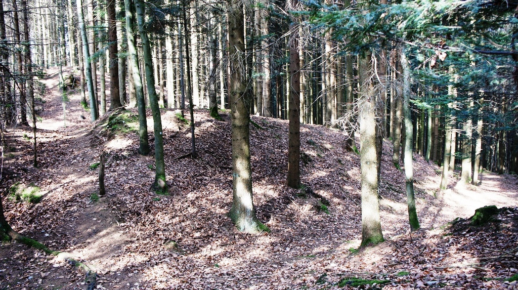 Am höchsten Punkt auf der Ostseite - Doppelwall mit Gräben