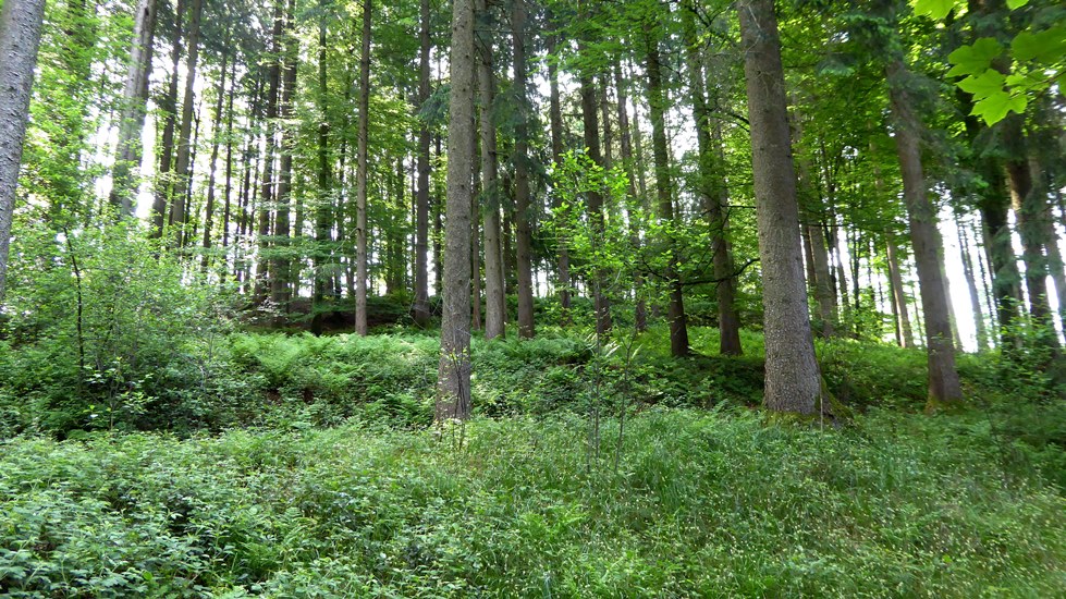 Nordansicht des Doppelwalls