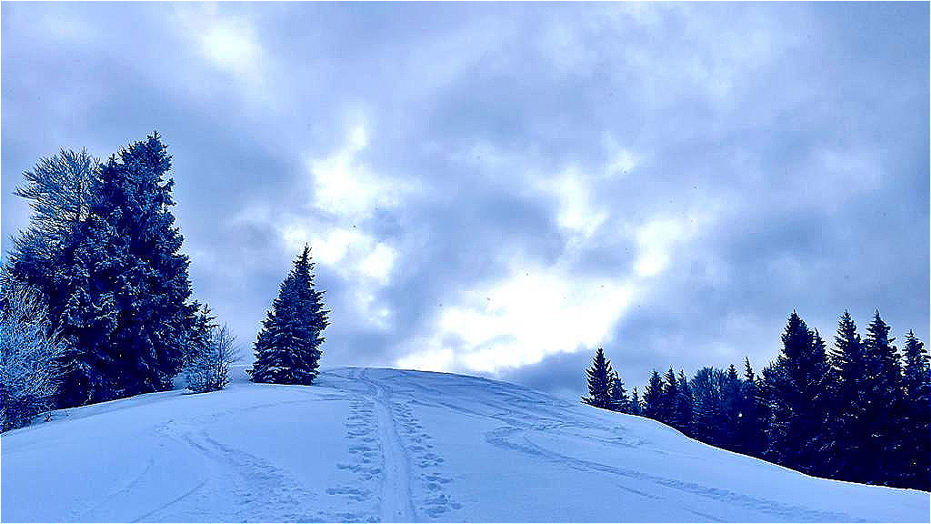 19. Jänner 2024 - Loibersbacher Höhe
