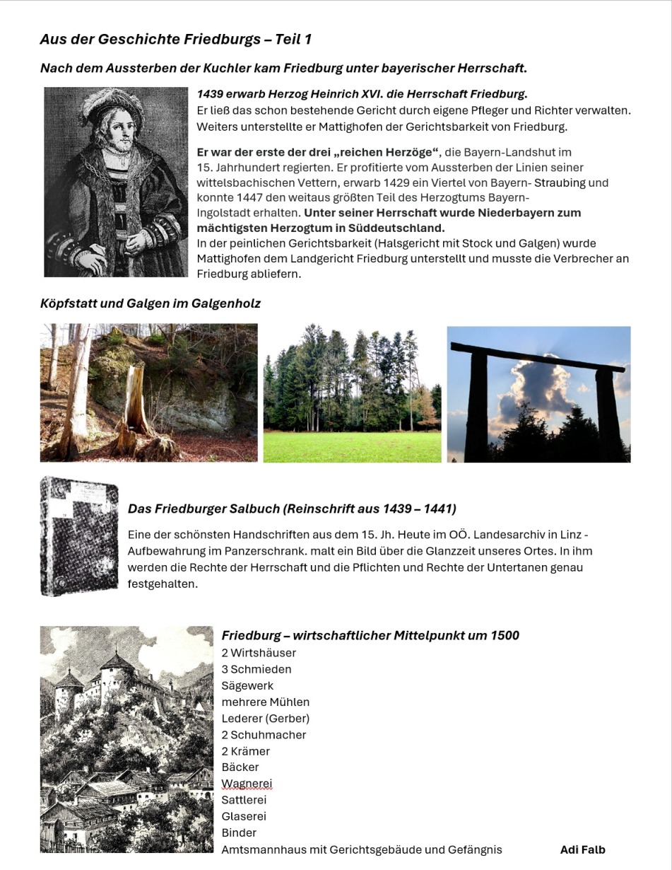 https://0501.nccdn.net/4_2/000/000/089/9e7/friedburgs-geschichte-teil-1.jpg