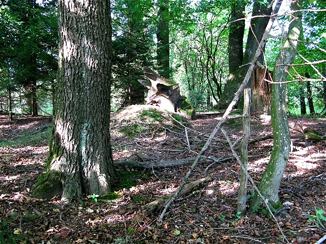 Urtümlicher Platz