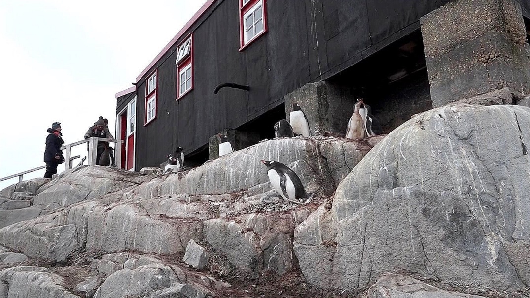 Die Station bietet geschützte Brutplätze