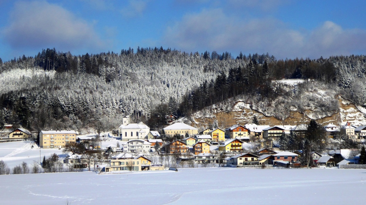 6. Jänner 2017  Blick hinauf zum Weingarten