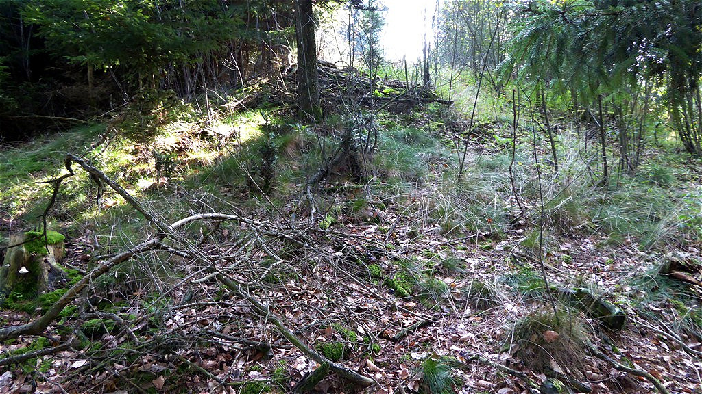 Die Nordseite kurz unter dem Tumulus