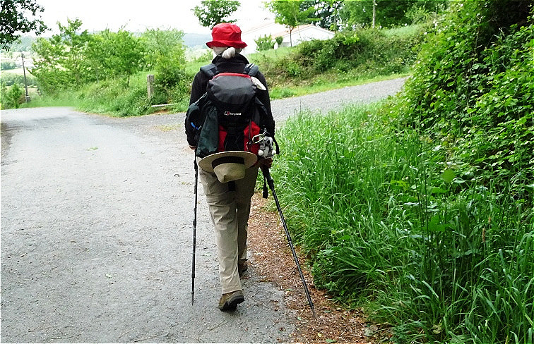 Flotten Schrittes die Straße entlang !