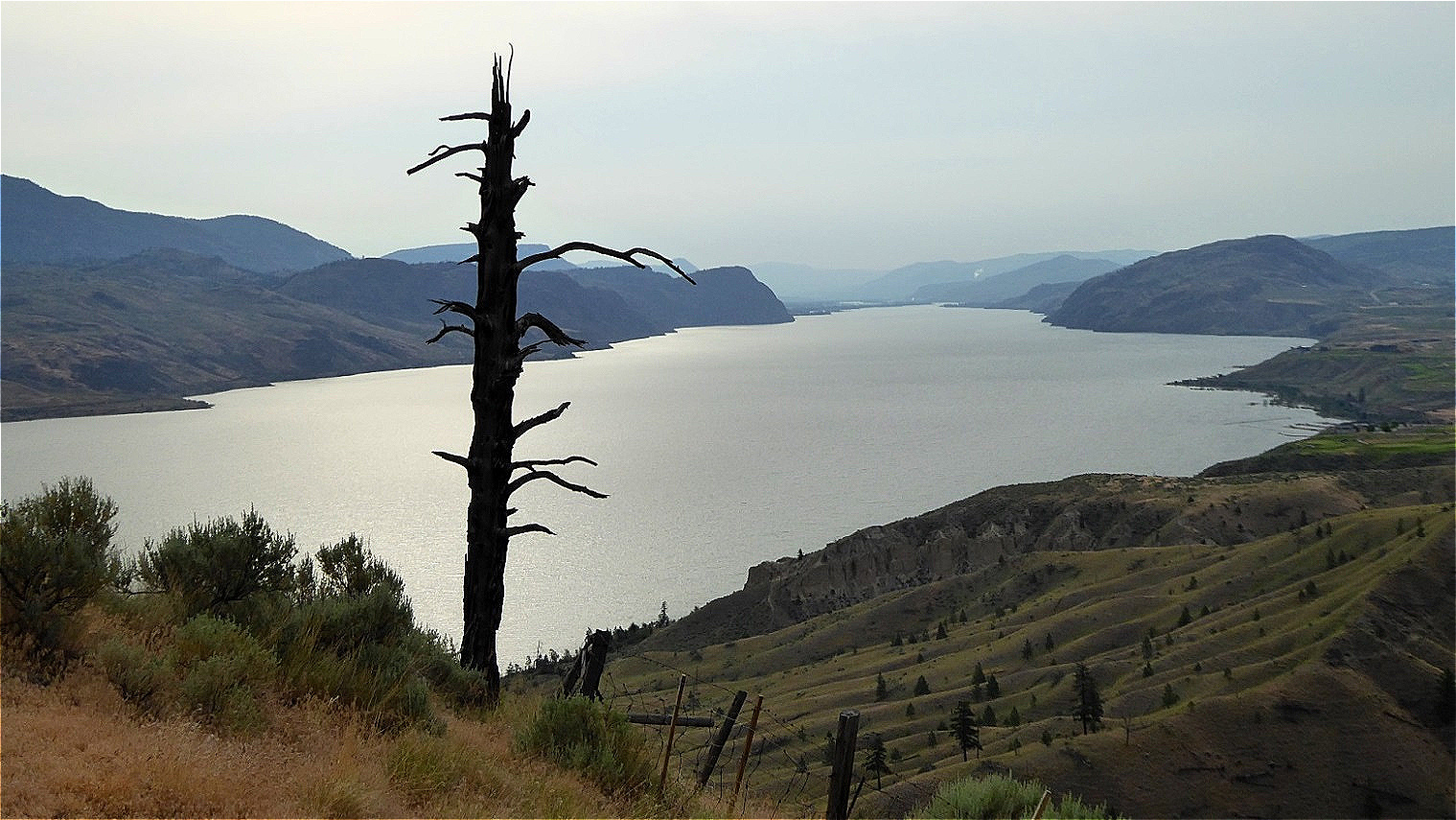 Zu meinen Füßen liegt der Kamloops Lake
