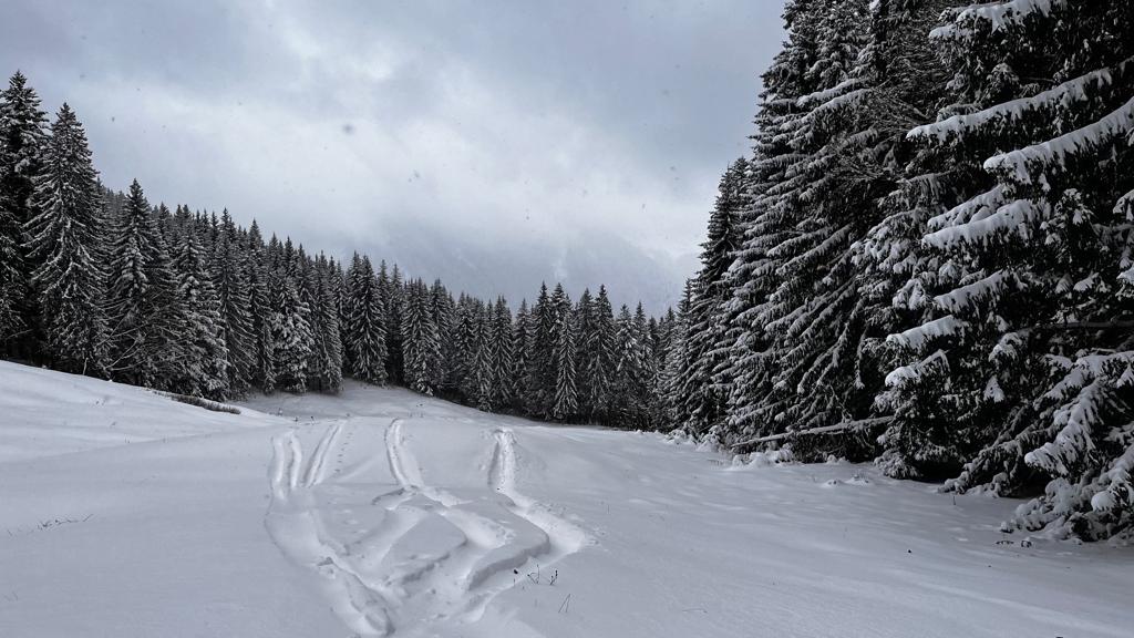 25 Zentimeter Pulverschnee