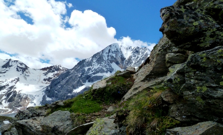 Blick zurück zur Königsspitze