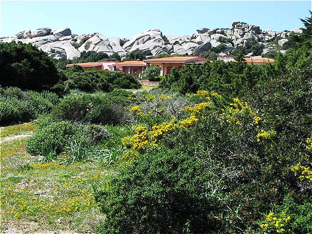 Naturnahe Architektur
Behutsam fügen sich Häuser und Bungalows in die Landschaft ein
